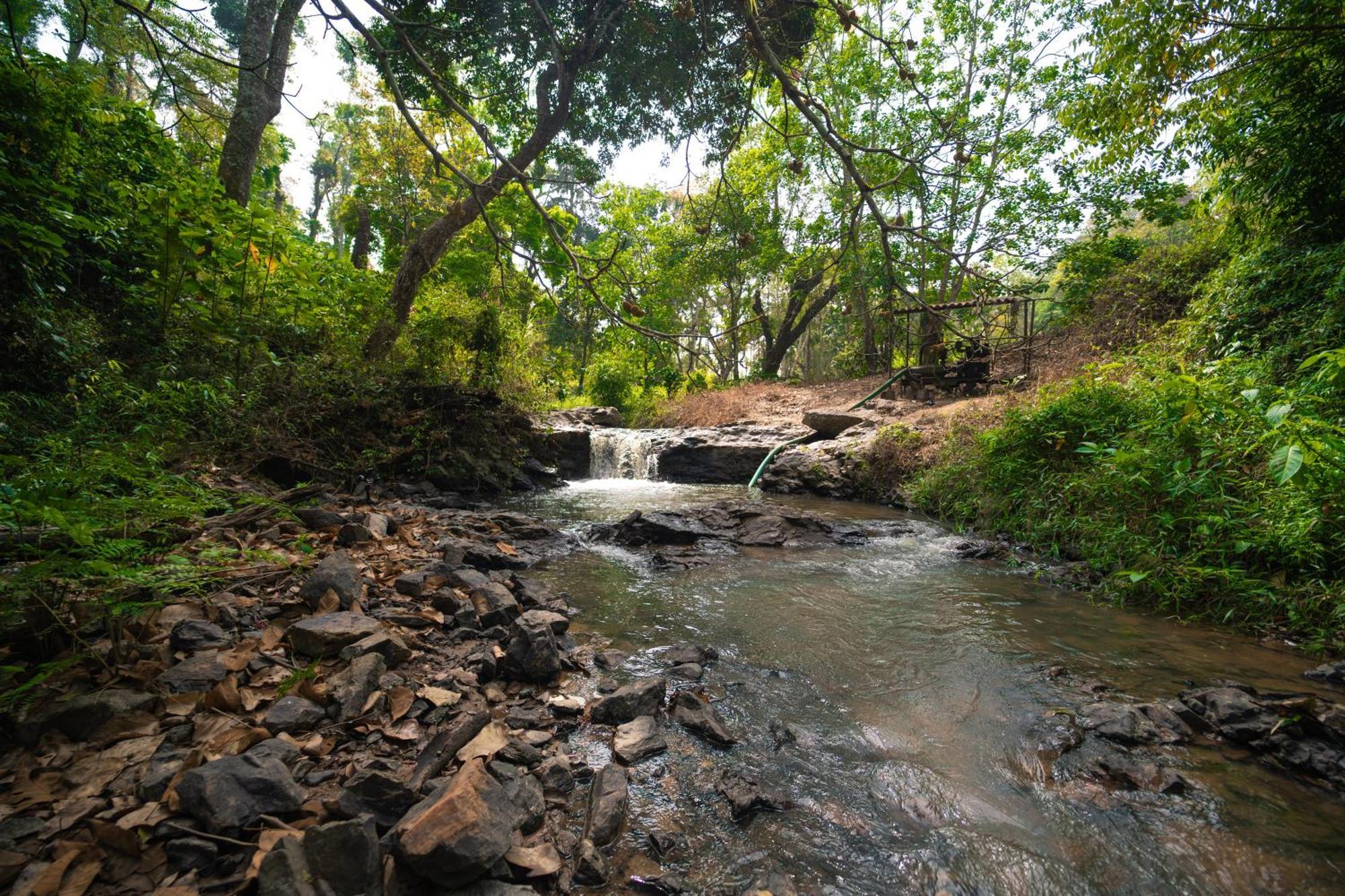 Kingmaker'S Plantation With River Stream Madikeri Exterior foto