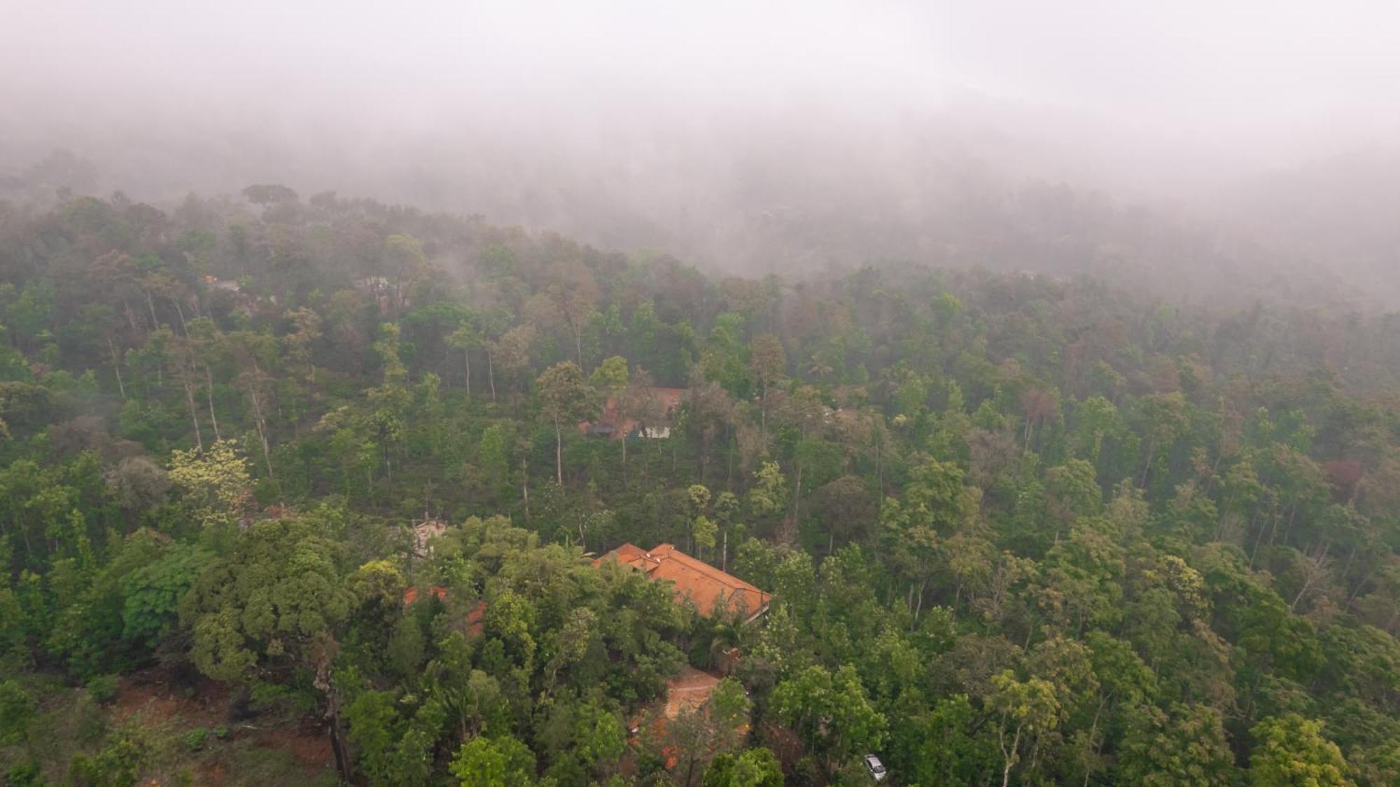 Kingmaker'S Plantation With River Stream Madikeri Exterior foto